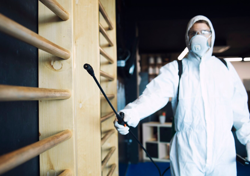 Superior Pest Solutions