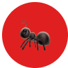 Superior Pest Solutions