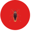Superior Pest Solutions