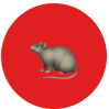 Superior Pest Solutions