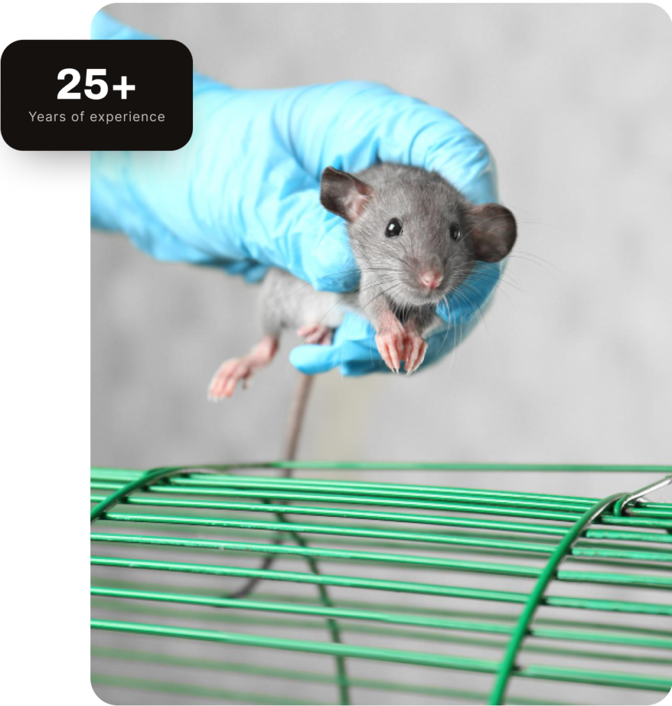 Superior Pest Solutions