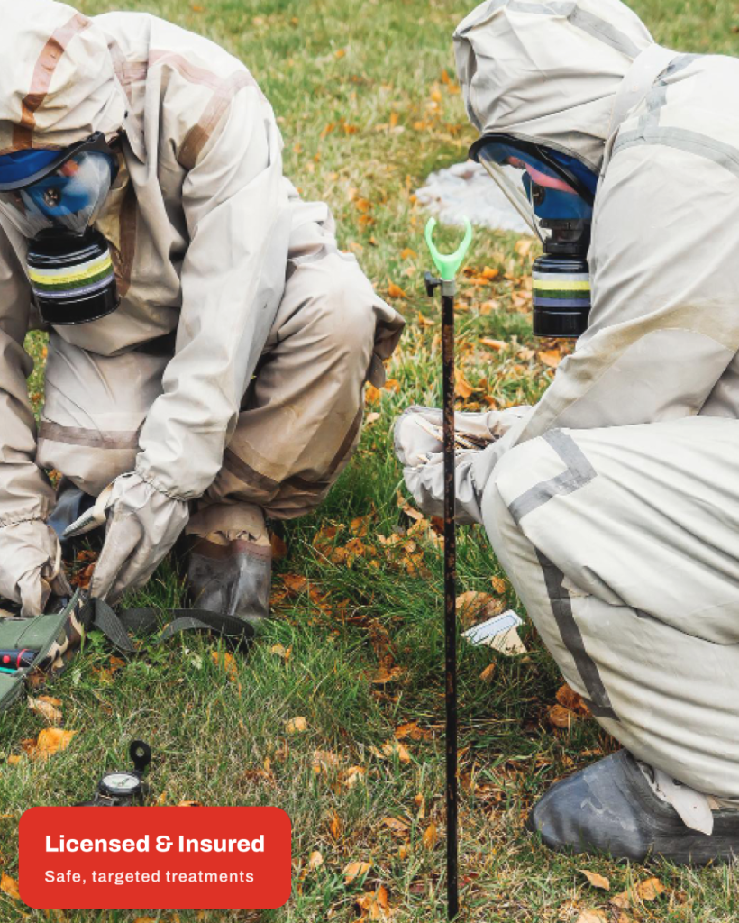 Superior Pest Solutions