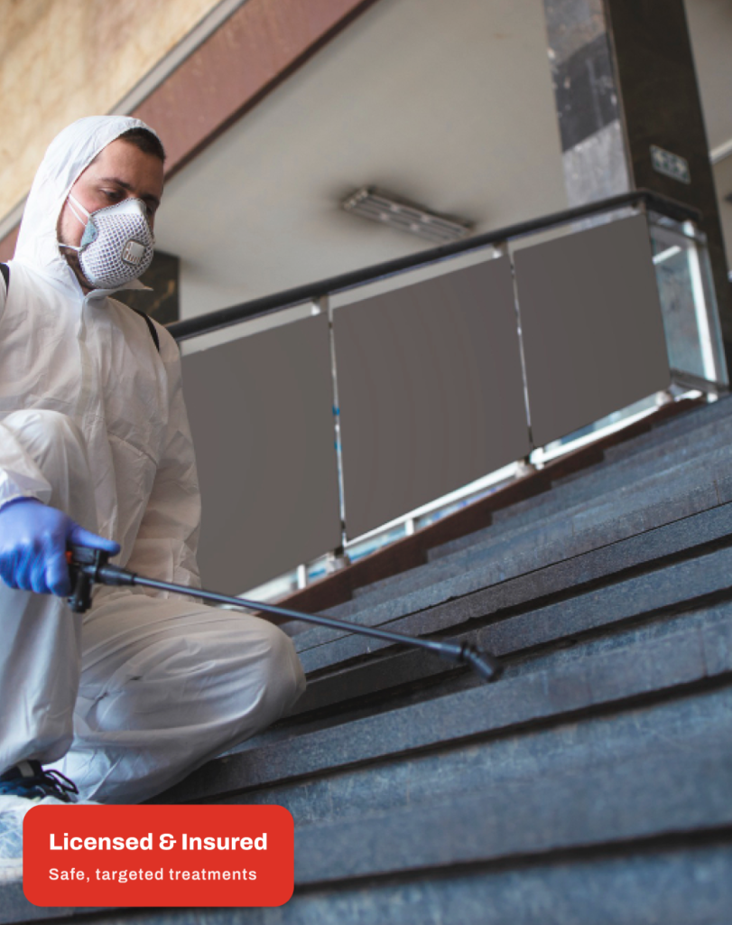 Superior Pest Solutions