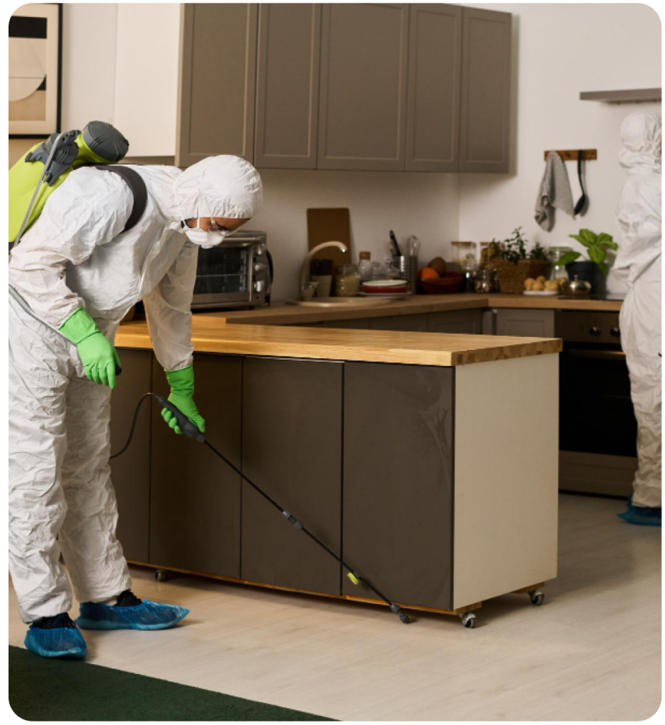 Superior Pest Solutions