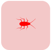 Superior Pest Solutions