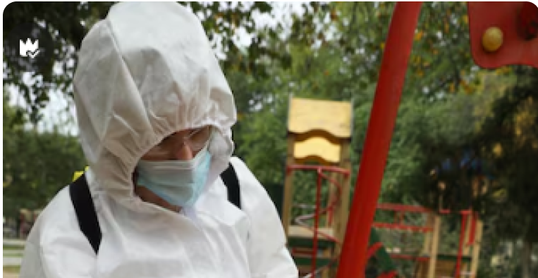 Superior Pest Solutions