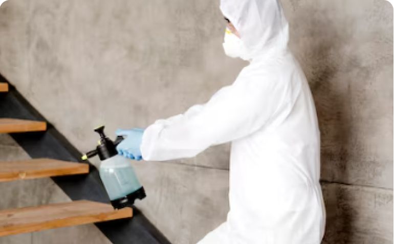 Superior Pest Solutions