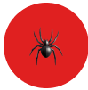 Superior Pest Solutions